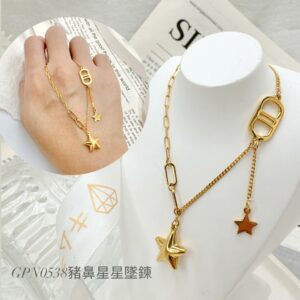 豬鼻星星