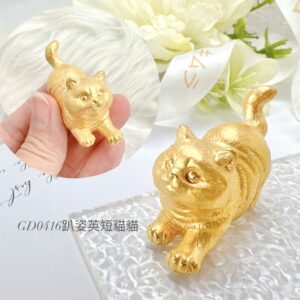 趴姿英短貓貓